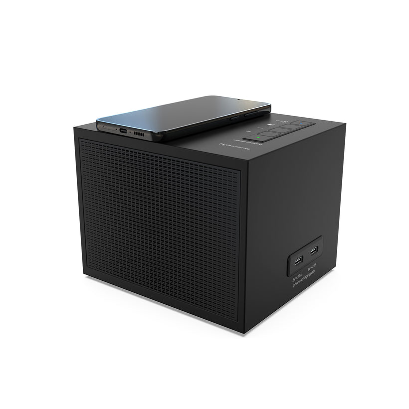 BLACK BLUEBIRD - Bluetooth Speaker